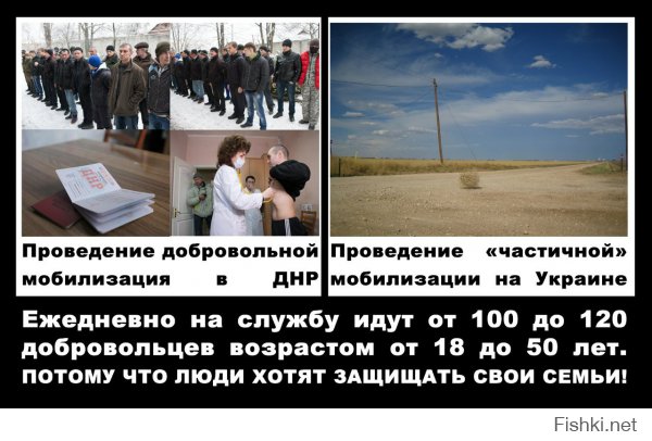Запись добровольцев в армию провозглашенной Донецкой республики