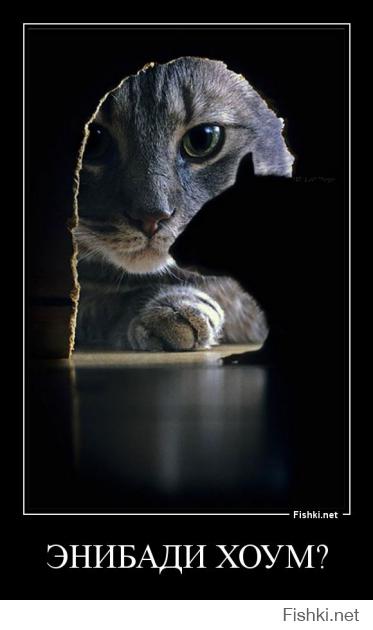 Фишкина солянка за 05.09.2014