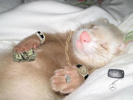 «Больше, чем человек»