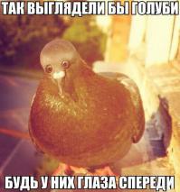 я укатился аххаааа