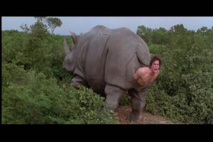 Детёныш карликового гиппопотама родился в шведском зоопарке