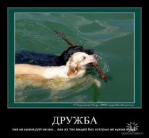 Дружба – это самое ценное что есть в жизни!