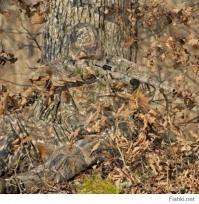 Задняя часть выходии!