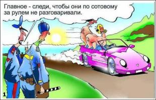 Решил проучить наглых водителей, которые едут по встречке