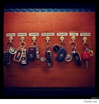 Всем по бюджету!