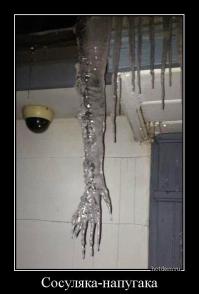 Привет из СПБ!