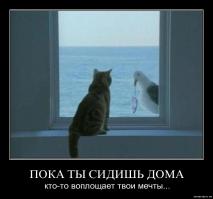 "Тем временем" в разных странах мира