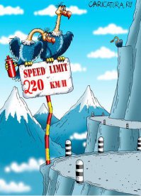 Регистратор накаркал