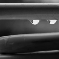 Девушки с красивыми глазами