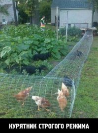 Избиение на «Доме-2»