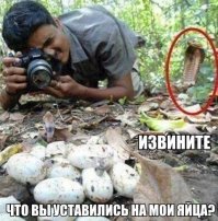 Подборка  демотиваторов