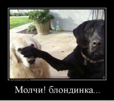 Взял и не послушал жену