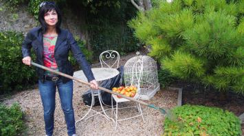 или вот еще