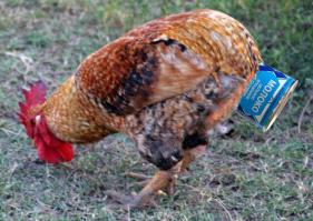 Не поделили арендованное парковочное место