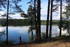 Каждый год на "12 июня" ездим компанией из 3-5 семей, останавливаемся примерно в 3 км от Ниловой пустыни на оз.Серебряное.