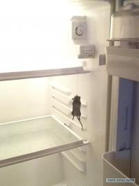 Что у американцев в холодильнике?