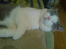 можно и просто поспать