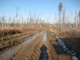 дороги.........