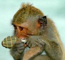 она этого не знает.