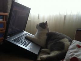 редактирование домашнего задания.  читает, показывает на ошибку