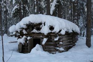 у нас таких отелей в тайге................
Лесники делают  
смотри наслаждайся.
тысяч за 10 тебе такую экскурсию сделают.........