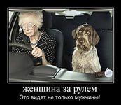 Сочинское такси