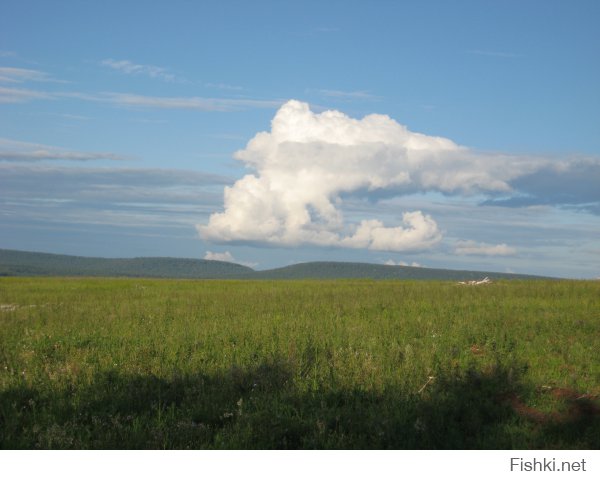терпеть не могу москву. с ее толпами спешащих людей. чуть только оступишься и по тебе пойдут толпой.
почему не люблю москвичей ? из личных наблюдений.
напрмер 70% озадачены своим айкю. итд
у меня было много случаев в столице - в других городах такой проблемы не возникнет. а в столице за все плати. (включая платные парковки в спальных районах)
гаражи то поотнимали просто так !!!
я возвращаясь из командировки обычно отправляю часть багажа почтой и вот исколесив оочень много по столице в поисках почтового отделения (начиная от Наметкина - центральная сортировочная и до еще штуки 3. в двух не принимают посылки вообще, но уверяют, что по следующему адресу обязательно принимают)  я наконец то добрался до работающего отделения (где принимают посылки) и так получилось, что я добрался туда за 15 минут до закрытия на обед.....
я попросил оператора отпустить меня и согласился добавить к его зарплате 200 руб (это 10 лет назад деньги были не ахти какие, но и мне их тоже не вернут).
та сказала мало !!!!! увидев, что собираюсь отправлять (корпус от стоечного компа) - однозначно сказала, что не примет так как в стандартную коробку не влезет итд...... в общем потащил я его в гостиницу и решив, что заплачу лучше за перегруз на самолет (на работе жутко нужен был, а денег на это не выделяли). Там в гостинице было небольшое отделение и  там же просто завернули в картон и вся проблема была решена..... 
похожая ситуация не возникла бы в глубинке России, а в москве народ друг на друга озлоблен! и готовы сожрать друг друга ! так что завидуйте вы нам. 
предпоследнее озеро Байкал. на последнем щиток в лесу (место где берет сотовая связь МТС) заботливый человек соорудил и повесил для других путников, Надпись гласит: Где то здесь МТС. кто из москвичей  может похвастаться заботой о постороннем человеке ?