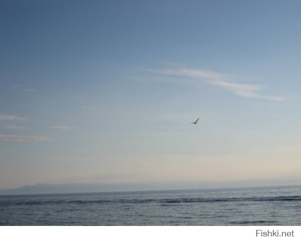 терпеть не могу москву. с ее толпами спешащих людей. чуть только оступишься и по тебе пойдут толпой.
почему не люблю москвичей ? из личных наблюдений.
напрмер 70% озадачены своим айкю. итд
у меня было много случаев в столице - в других городах такой проблемы не возникнет. а в столице за все плати. (включая платные парковки в спальных районах)
гаражи то поотнимали просто так !!!
я возвращаясь из командировки обычно отправляю часть багажа почтой и вот исколесив оочень много по столице в поисках почтового отделения (начиная от Наметкина - центральная сортировочная и до еще штуки 3. в двух не принимают посылки вообще, но уверяют, что по следующему адресу обязательно принимают)  я наконец то добрался до работающего отделения (где принимают посылки) и так получилось, что я добрался туда за 15 минут до закрытия на обед.....
я попросил оператора отпустить меня и согласился добавить к его зарплате 200 руб (это 10 лет назад деньги были не ахти какие, но и мне их тоже не вернут).
та сказала мало !!!!! увидев, что собираюсь отправлять (корпус от стоечного компа) - однозначно сказала, что не примет так как в стандартную коробку не влезет итд...... в общем потащил я его в гостиницу и решив, что заплачу лучше за перегруз на самолет (на работе жутко нужен был, а денег на это не выделяли). Там в гостинице было небольшое отделение и  там же просто завернули в картон и вся проблема была решена..... 
похожая ситуация не возникла бы в глубинке России, а в москве народ друг на друга озлоблен! и готовы сожрать друг друга ! так что завидуйте вы нам. 
предпоследнее озеро Байкал. на последнем щиток в лесу (место где берет сотовая связь МТС) заботливый человек соорудил и повесил для других путников, Надпись гласит: Где то здесь МТС. кто из москвичей  может похвастаться заботой о постороннем человеке ?