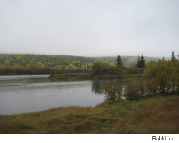 терпеть не могу москву. с ее толпами спешащих людей. чуть только оступишься и по тебе пойдут толпой.
почему не люблю москвичей ? из личных наблюдений.
напрмер 70% озадачены своим айкю. итд
у меня было много случаев в столице - в других городах такой проблемы не возникнет. а в столице за все плати. (включая платные парковки в спальных районах)
гаражи то поотнимали просто так !!!
я возвращаясь из командировки обычно отправляю часть багажа почтой и вот исколесив оочень много по столице в поисках почтового отделения (начиная от Наметкина - центральная сортировочная и до еще штуки 3. в двух не принимают посылки вообще, но уверяют, что по следующему адресу обязательно принимают)  я наконец то добрался до работающего отделения (где принимают посылки) и так получилось, что я добрался туда за 15 минут до закрытия на обед.....
я попросил оператора отпустить меня и согласился добавить к его зарплате 200 руб (это 10 лет назад деньги были не ахти какие, но и мне их тоже не вернут).
та сказала мало !!!!! увидев, что собираюсь отправлять (корпус от стоечного компа) - однозначно сказала, что не примет так как в стандартную коробку не влезет итд...... в общем потащил я его в гостиницу и решив, что заплачу лучше за перегруз на самолет (на работе жутко нужен был, а денег на это не выделяли). Там в гостинице было небольшое отделение и  там же просто завернули в картон и вся проблема была решена..... 
похожая ситуация не возникла бы в глубинке России, а в москве народ друг на друга озлоблен! и готовы сожрать друг друга ! так что завидуйте вы нам. 
предпоследнее озеро Байкал. на последнем щиток в лесу (место где берет сотовая связь МТС) заботливый человек соорудил и повесил для других путников, Надпись гласит: Где то здесь МТС. кто из москвичей  может похвастаться заботой о постороннем человеке ?