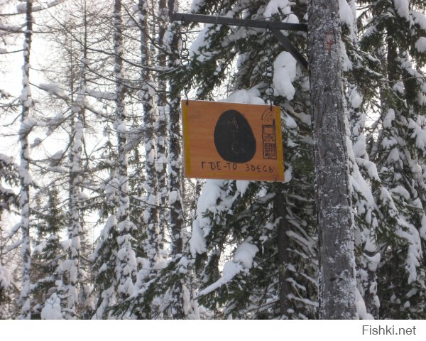 терпеть не могу москву. с ее толпами спешащих людей. чуть только оступишься и по тебе пойдут толпой.
почему не люблю москвичей ? из личных наблюдений.
напрмер 70% озадачены своим айкю. итд
у меня было много случаев в столице - в других городах такой проблемы не возникнет. а в столице за все плати. (включая платные парковки в спальных районах)
гаражи то поотнимали просто так !!!
я возвращаясь из командировки обычно отправляю часть багажа почтой и вот исколесив оочень много по столице в поисках почтового отделения (начиная от Наметкина - центральная сортировочная и до еще штуки 3. в двух не принимают посылки вообще, но уверяют, что по следующему адресу обязательно принимают)  я наконец то добрался до работающего отделения (где принимают посылки) и так получилось, что я добрался туда за 15 минут до закрытия на обед.....
я попросил оператора отпустить меня и согласился добавить к его зарплате 200 руб (это 10 лет назад деньги были не ахти какие, но и мне их тоже не вернут).
та сказала мало !!!!! увидев, что собираюсь отправлять (корпус от стоечного компа) - однозначно сказала, что не примет так как в стандартную коробку не влезет итд...... в общем потащил я его в гостиницу и решив, что заплачу лучше за перегруз на самолет (на работе жутко нужен был, а денег на это не выделяли). Там в гостинице было небольшое отделение и  там же просто завернули в картон и вся проблема была решена..... 
похожая ситуация не возникла бы в глубинке России, а в москве народ друг на друга озлоблен! и готовы сожрать друг друга ! так что завидуйте вы нам. 
предпоследнее озеро Байкал. на последнем щиток в лесу (место где берет сотовая связь МТС) заботливый человек соорудил и повесил для других путников, Надпись гласит: Где то здесь МТС. кто из москвичей  может похвастаться заботой о постороннем человеке ?