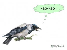 Пророк 80 уровня 