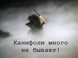 Вчера в Санкт-Петербурге был очень плотный туман. Немного фантазии