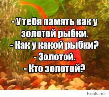 Клайв Уэринг – человек с памятью в 30 секунд