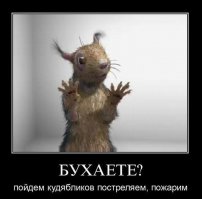 Пьяная белка, объевшаяся перебродивших диких яблок