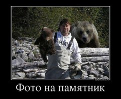 «Медвежий лагерь» на Аляске 