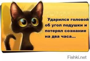 23 открытки для ценителей сна