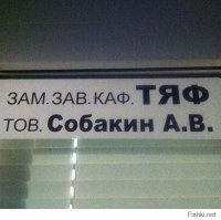 Незабываемые народные перлы