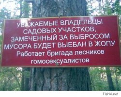 Ради этого стоило достать фотоаппарат из сумки