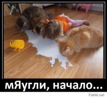 Истории детей, о которых заботились животные