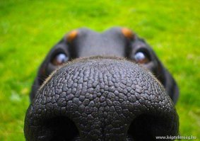 Повседневные вещи крупным планом