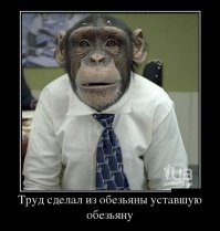 23 открытки о нелегких буднях трудоголиков