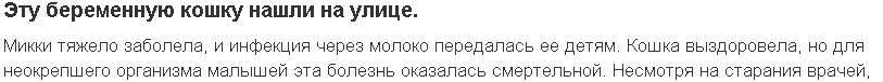 Первую строчку в конце прочти.