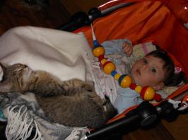 Пушистые комочки с золотым сердцем