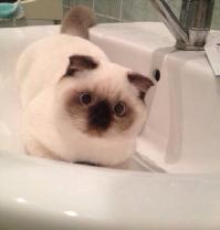 ни хрена себе!