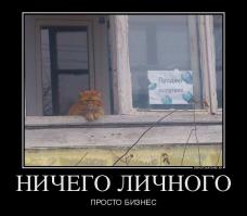 Попугай против Кота! Кто получит по щам?..