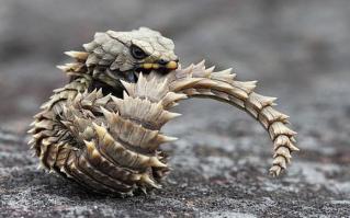 конечно есть.