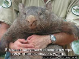   Московское метро: мифы, легенды, факты