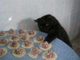 Коты Воришки