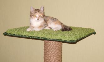 У нас пока так, ещё не закончено. Заказчик вроде доволен =)