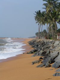 Неделя в Шри-Ланке